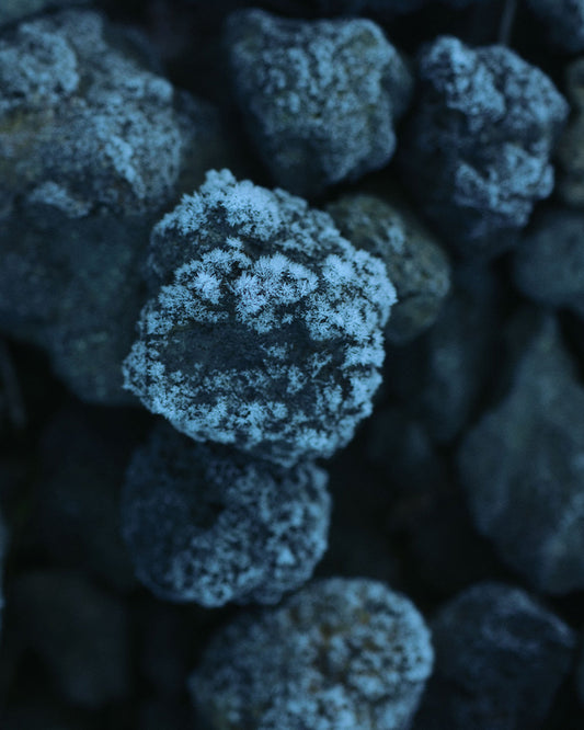 journal vol.020 Where Time Gently Opens